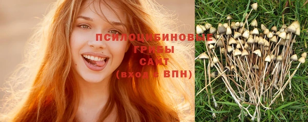 молекула духа Алексеевка