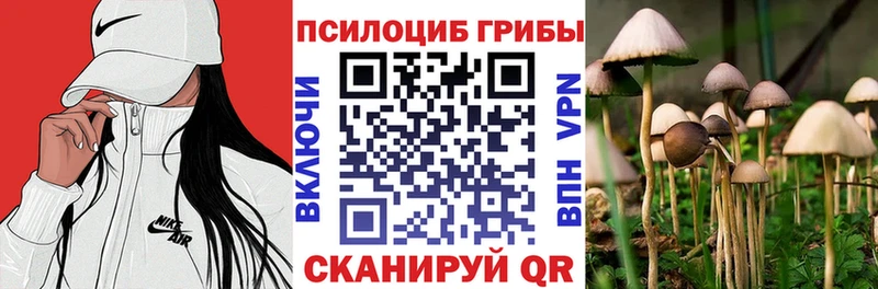 Галлюциногенные грибы мицелий  Краснокамск 