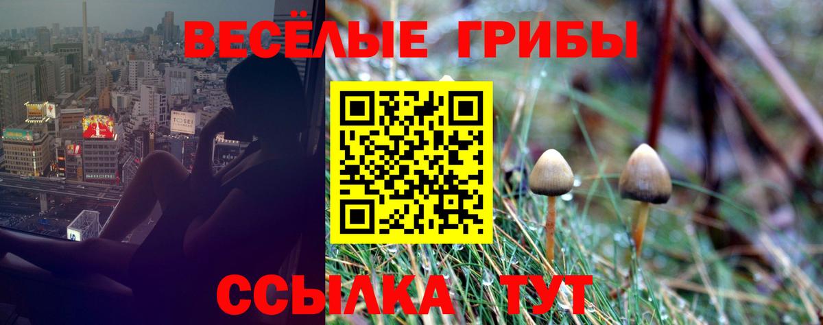 Галлюциногенные грибы GOLDEN TEACHER Краснокамск