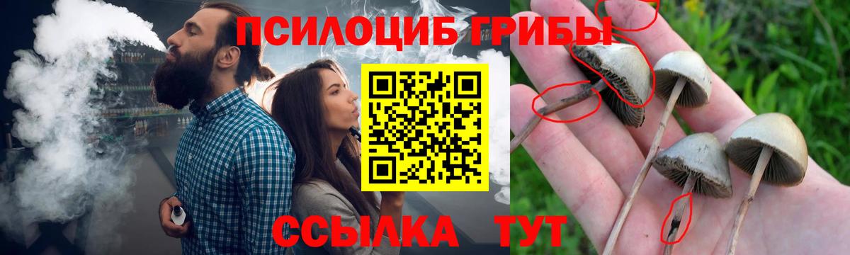 Галлюциногенные грибы Psilocybine cubensis  Вход с VPN  Галлюциногенные грибы мицелий  Краснокамск 